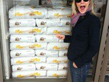 I’m Back! New Flours from Central Milling, sf Pizza and More