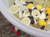 Het recept van de Zichtbar gin