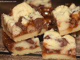 Caramel Butter Bars with Chocolate Chips