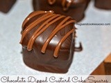 Chocolate Dipped Magic Custard Cake Squares