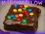 Homemade marshmallows dipped in dark chocolate