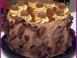 Quadruple layer peanut butter chocolate caramel cheesecake