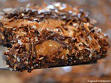 Samoa Cookie Sheet Cake