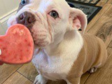 Strawberry Banana Dog Treats