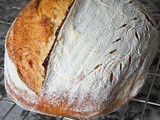 The Ultimate Sourdough Recipe Collection: 20+ Sourdough Recipes You’ll Love