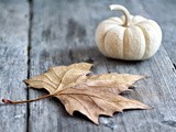 Life in the Big City  -  a Little Fall Housekeeping