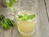 Orange Mojito with Mint Skinny Syrup