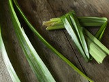 What are pandan leaves? & Pandan extract recipe