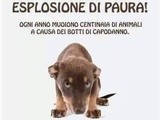 Buon anno
