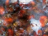 Castagne ricoperte di cioccolato