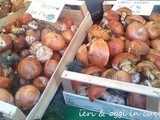 Come conservare i Funghi