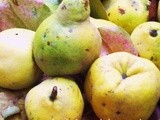 Sburlòn,  liquore di mele cotogne