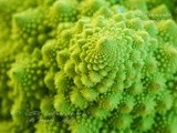 Μπροκολο ρομανεσκο  ♦♦  broccolo romanesco