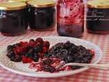 Μαρμελαδα με φρουτα του δασουσ ♦♦ confettura di frutti di bosco