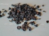 ΤΟ ΑΝΘΟΣ ΚΑΝΕΛΑΣ Ή ΚΕΖΙΑ   ♦♦  il fiore della cannella o kezia