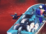 Terrifying Taiji Traditions pt 1