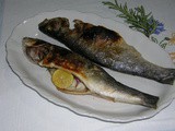 Branzino al grill