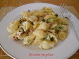 Pasticcio di conchiglie