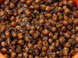 Sukhe Kale Chane Recipe “Navratri Special”