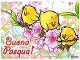 Buona Pasqua