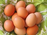 World Egg Day and the health benefits of eggs