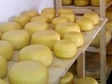Free Farmhouse Cheese events for October Month of Cheese 2014