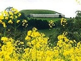 Take a Walk on the Wild Side in the Boyne Valley with Newgrange Gold