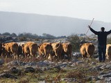Winterage Festival on October 29th set to celebrate Food of The Burren