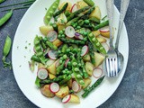 Salata od mladog povrća (krompirića, špargli, graška...)