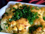 Pasta & Cauliflower Cheesebake