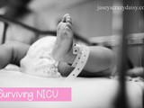 Six Years Ago Our World Turned Upside Down. We Survived a High Risk Pregnancy, and nicu. Now What? Welcome to the Next Chapter