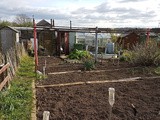 April at the Allotment 2017