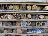 Autumn Wildlife Garden