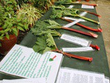 Clumber Park Rhubarb Weekend