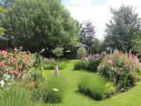 Elmton Gardens