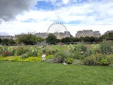 Flowers of Paris