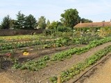 Kitchen Garden Notes – Ham House