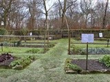 Kitchen Garden Notes – Longshaw