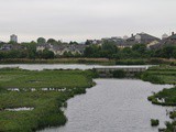 London Wetland Centre