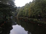 Matlock Bath Illuminations