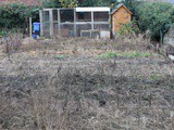 Our new allotment plot