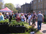 Rare and Unusual Plant Fair