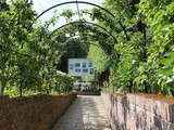 Roots and Shoots Garden at The Alnwick Garden