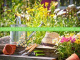 Six Simple Steps for Getting Your Garden Summer Ready