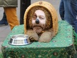Sunday Snap – Dog Man