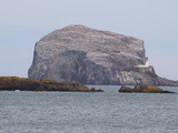 Sunday Snap – The Seabird Rock