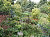 Teviot Water Gardens