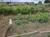 The allotment in June 2017