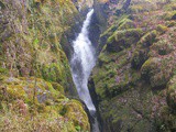 The Waterfall