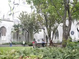 Urban Green Spaces – St. Dunstan in the East